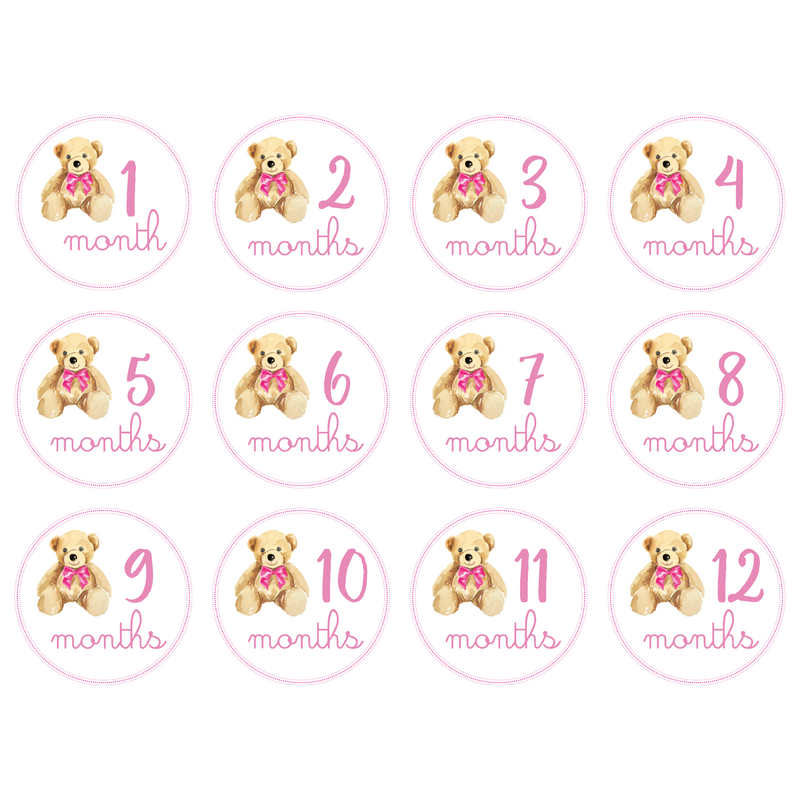 BABY GIRL BY-THE-MONTH ACRYLIC BABY MEDALLIONS*