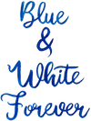 BLUE & WHITE GINGER JAR SHATTER STICK BUNDLE*