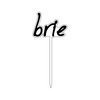 BRIE TEXT FROMAGE STICK: 4 STYLES