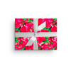 POINSETTIAS LUXE GIFT WRAP ROLL*